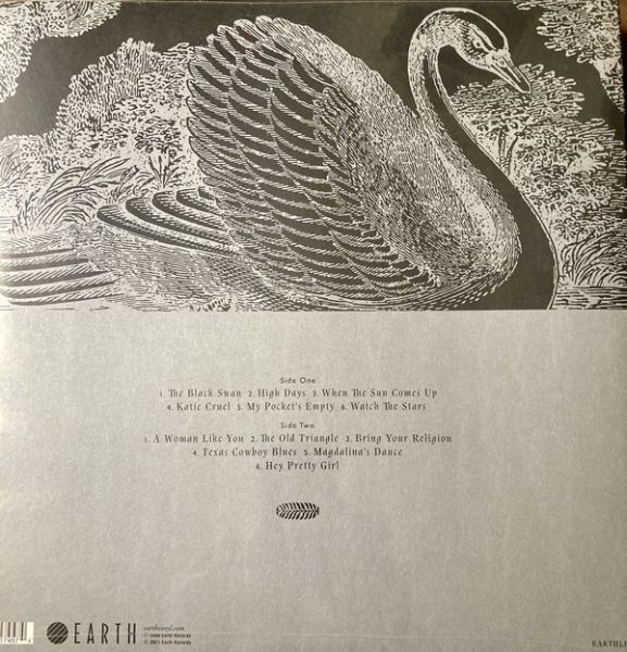 <em>The Black Swan</em> front cover