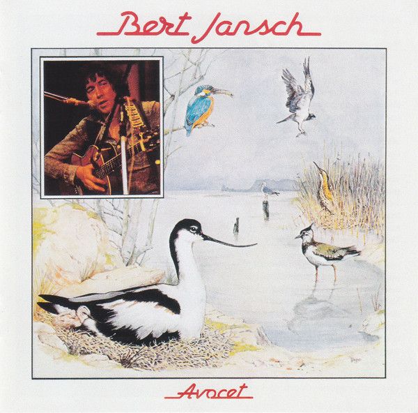<em>Avocet</em> front cover