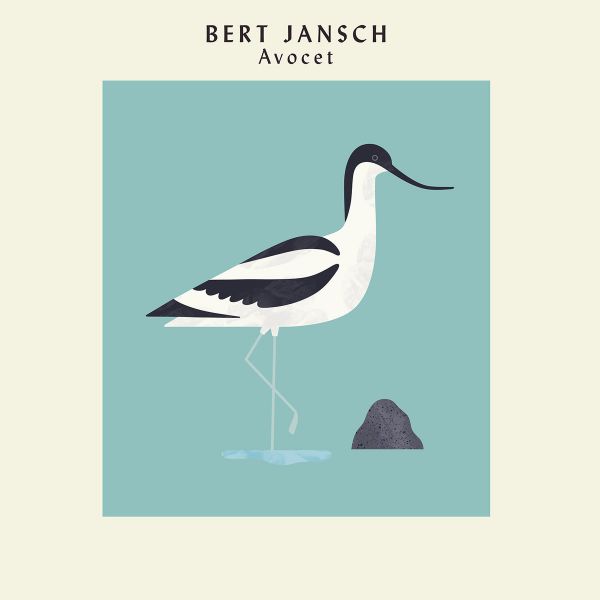 <em>Avocet</em> front cover